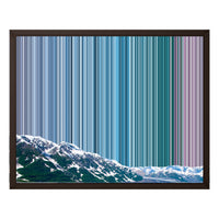 20×16" Framed Canvas - Brown Frame variant
