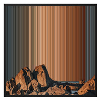 26×28" Framed Canvas - Black Frame variant