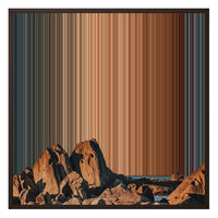 26×28" Framed Canvas - Brown Frame variant