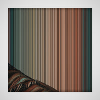 22×22" Stretched Canvas (19mm) variant