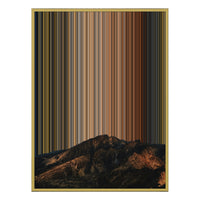 12×20" Metallic Float Frame Canvas - Gold Frame variant