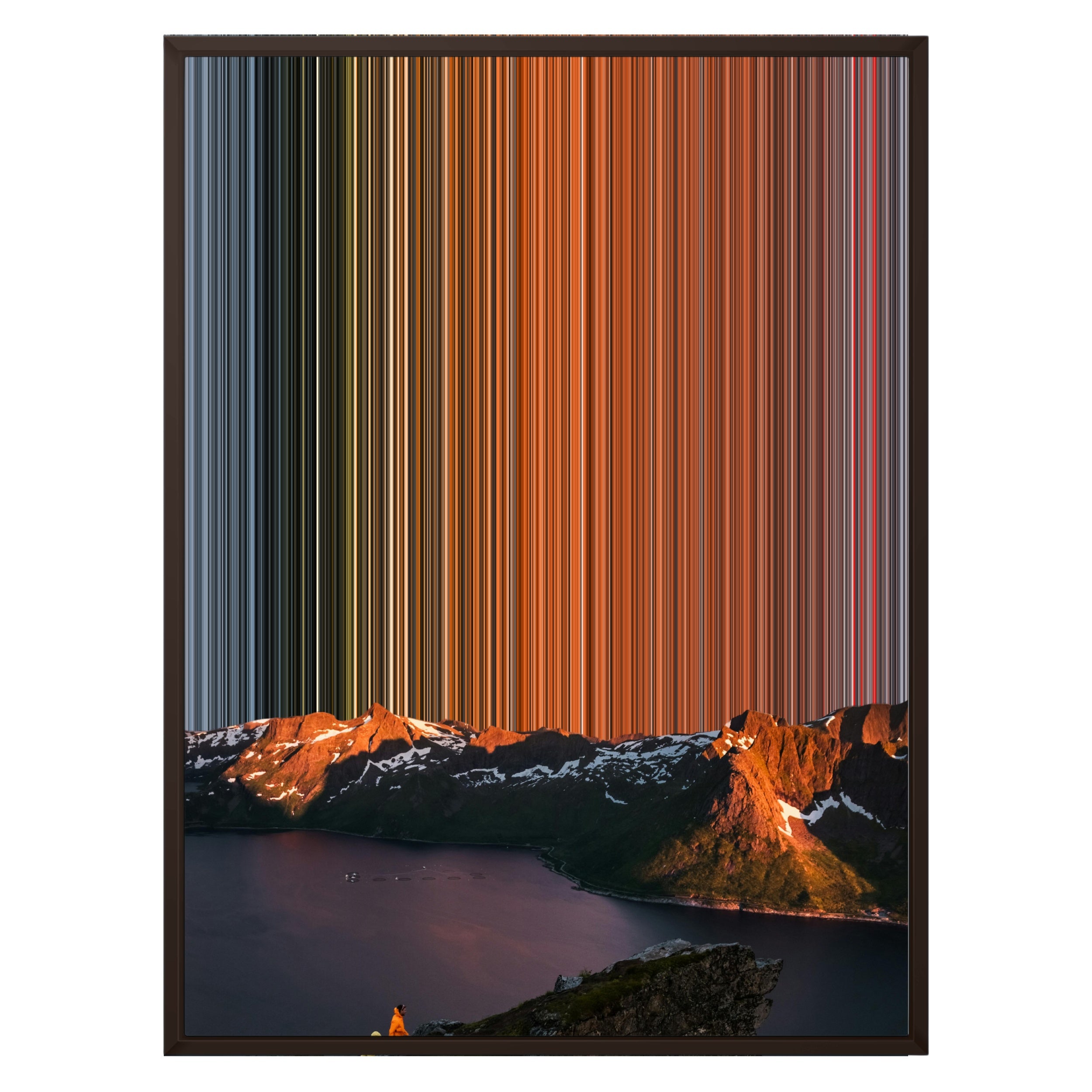 24×30" Metallic Float Frame Canvas - Brown Frame variant