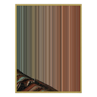 28×30" Metallic Float Frame Canvas - Gold Frame variant