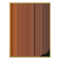 40×32" Metallic Float Frame Canvas - Gold Frame variant