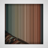 38×40" Stretched Canvas (38mm Premium) variant