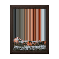 8×10" Framed Canvas - Brown variant