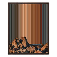 16×20" Framed Canvas - Brown variant