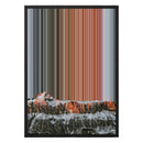 20×28" Framed Canvas - Black variant