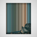 8×10" Stretched Canvas (40mm) variant