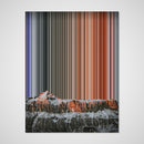 11×14" Stretched Canvas (40mm) variant